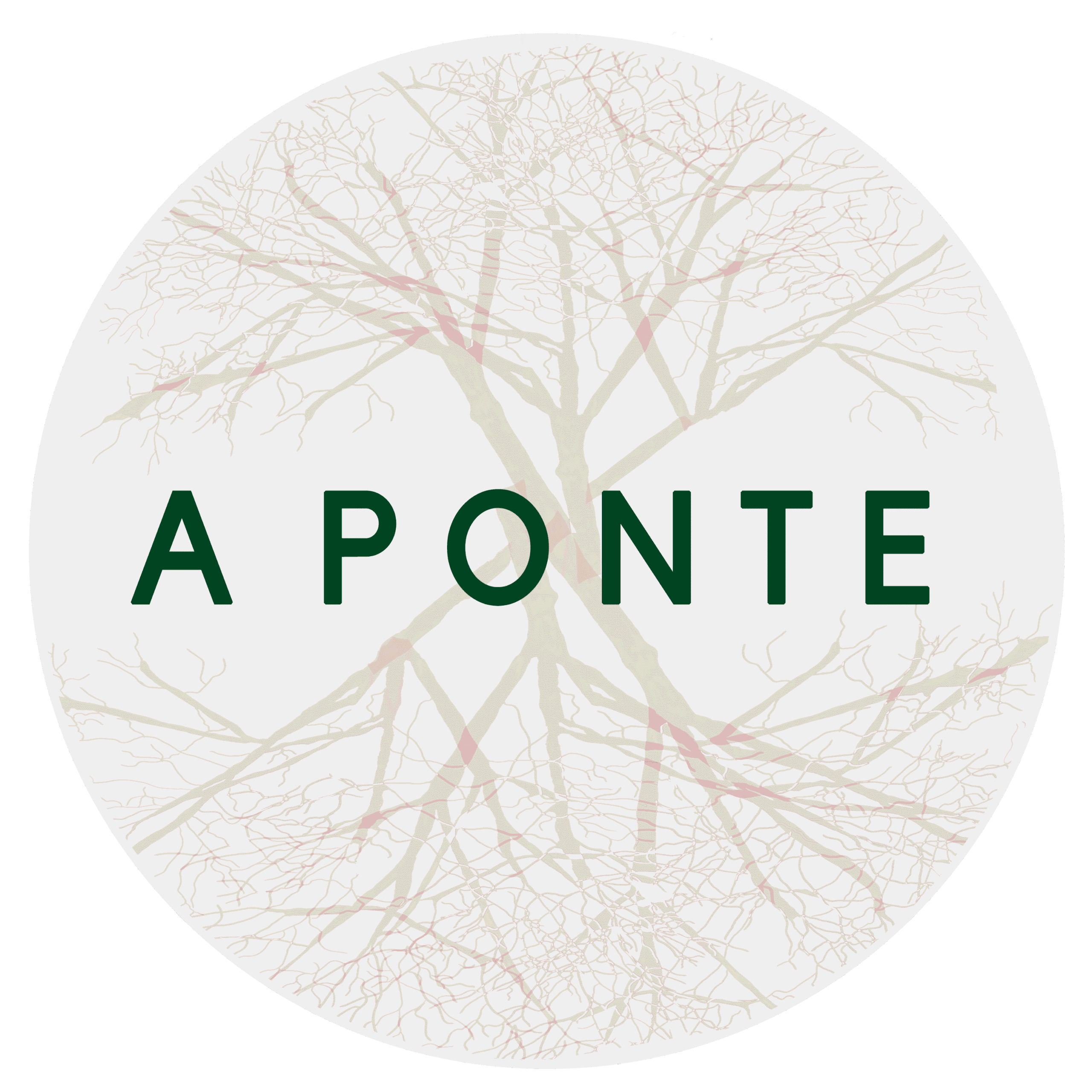Rede A Ponte